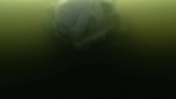 Abstract texture shot of slowly mixxing dregs on green water Video Clip