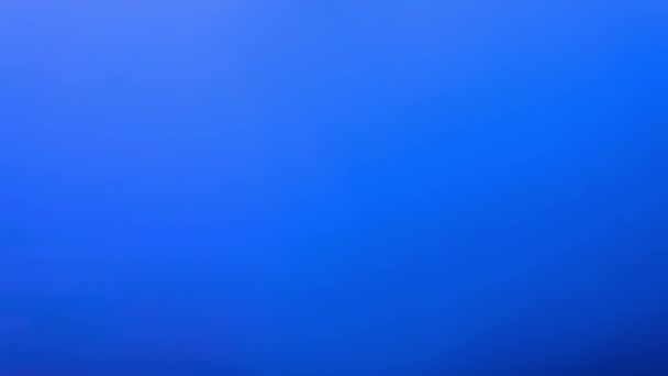 Plan moyen de peinture rouge abstraite se dissout lentement dans l'eau sur fond bleu Séquence Vidéo Libre De Droits