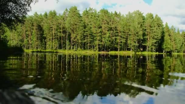Tiro médio de reflexões florestais em um lago de cristal em dia ensolarado — Vídeo de Stock