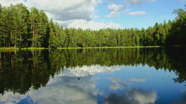 Середній крупним планом водяний знімок відображення лісу на кришталевому озері в сонячний день — стокове відео