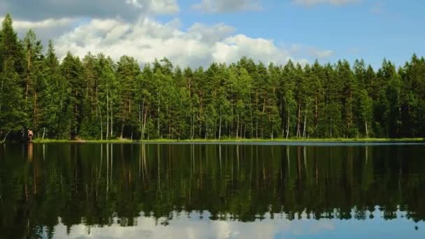 Plan moyen de réflexion forestière sur un lac de cristal par temps ensoleillé Clip Vidéo