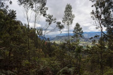 Misterious yeşil orman manzarası yeşil kırsal alan ve arka planda dağlar güneşli bulutlu bir günde. 
