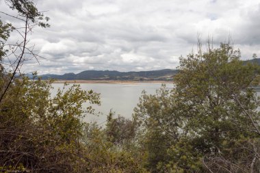 Yeşil yaprakları ve beyaz bulutlu gökyüzü ile mavi bir gölün yaz sahnesi
