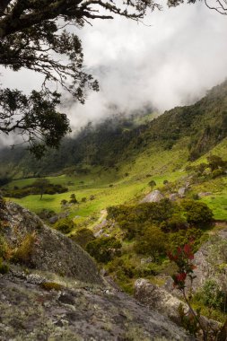 Kolombiya ve Andean kırsalının güzel manzarası. Bulutlu orman dağları antik bir taştan görünüyor.