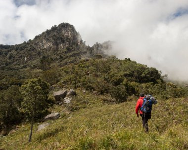 Sırt çantalı genç adam arka planda büyük bir ağaç ve büyük bir Andy bulutlu dağ silsilesiyle kırlara doğru yürüyor.