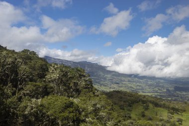 Kolombiya Andean yüksek ormanı kırsal vadisi ve And Dağları arkaplanda sabah bulutlu mavi gökyüzü
