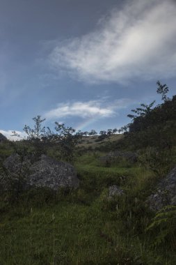 And ormanlarının ortasında, soluk bir gökkuşağı ve mavi gökyüzü olan büyük gri taşlar.