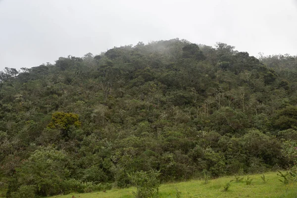 Andean Rainy Forest Mountain Cloudy Sky Green Countryside Foggy Day — Stock Photo, Image