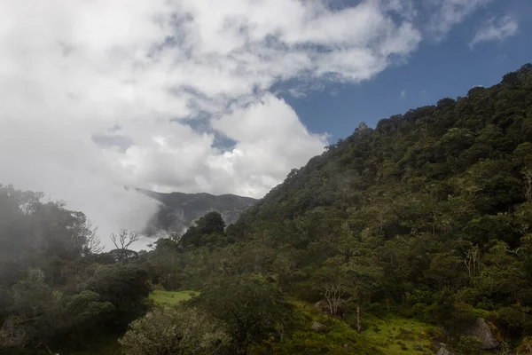 Montanha Floresta Andina Com Monólito Torre Índio Topo Dia Nebuloso — Fotografia de Stock
