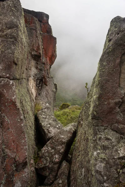 Deux Beaux Monolithes Anciens Mousseux Avec Petit Arbre Milieu Composition — Photo