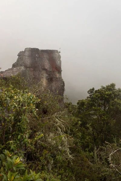 an ancient indigenous monolith top with some small green bushes in middle of andan cloudy forest.