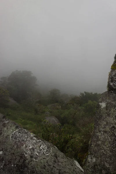 Montanha Floresta Nebulosa Andina Com Nevoeiro Visto Monólito Antigo — Fotografia de Stock