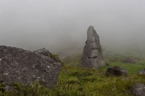 Deux Anciens Monolithes Indigènes Milieu Une Campagne Colombienne Nuageuse — Photo