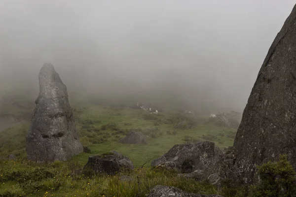 Dois Antigos Monólitos Indígenas Meio Campo Verde Com Gado Fundo — Fotografia de Stock