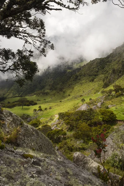 古代のモノリスから見た曇り空の森の山々とコロンビアのアンデス地方の美しいシーン — ストック写真