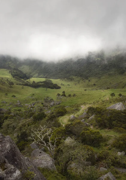 アンデスの曇り空の森林山脈と古い田舎道を持つコロンビアの緑の田舎 — ストック写真