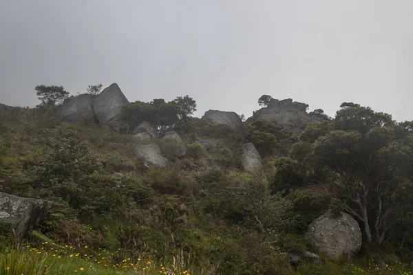 Antigos Monólitos Colombianos Antiga Cultura Muisca Com Floresta Andina Nevoeiro — Fotografia de Stock