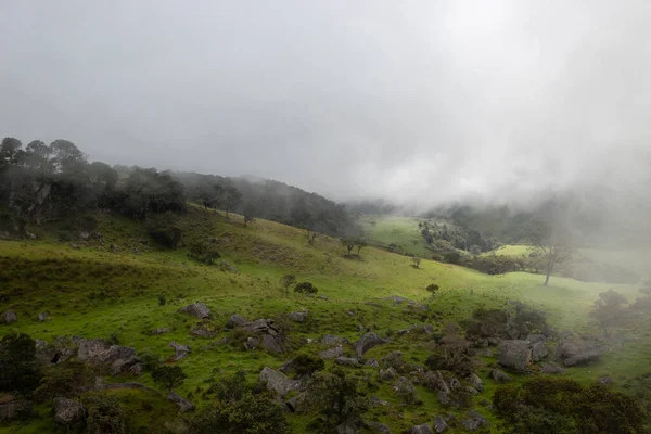 Paisagem Rural Nublada Com Floresta Andina Monólitos Antigos — Fotografia de Stock