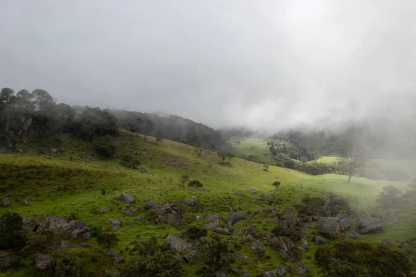 Paisaje Campo Nublado Con Bosque Andino Antiguos Monolitos — Foto de Stock