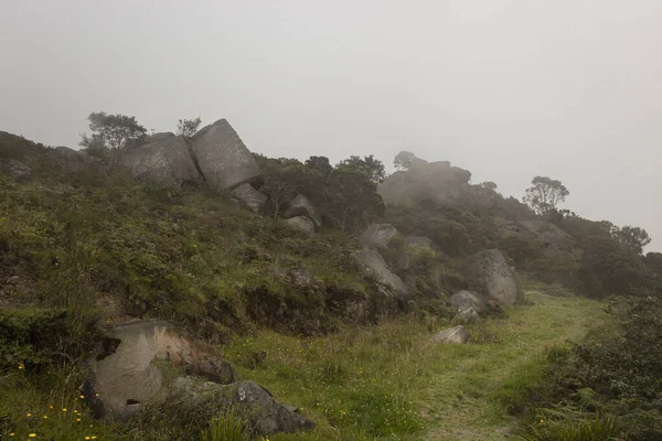 Antiga Muisca Monólitos Cultura Colombiana Com Caminho Rural Nevoeiro — Fotografia de Stock