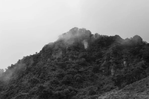 Montanha Alta Floresta Andina Nublado Com Penhasco Rochoso Céu Nublado — Fotografia de Stock