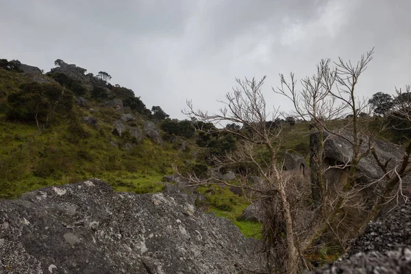 Pierre Colombienne Ancien Paysage Monolithique Avec Des Branches Sèches Une — Photo