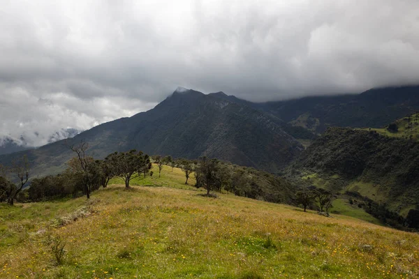 Prado Amarillo Campo Montaña Con Bosque Cordillera Valle Cielo Nublado —  Fotos de Stock