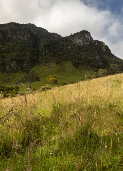 Contryside Prado Amarelo Com Alta Floresta Pico Rochoso Gama Montanhas — Fotografia de Stock