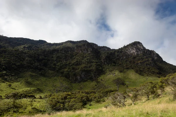 Belle Scène Chaîne Montagnes Forêt Andine Colombienne Avec Ciel Nuageux — Photo