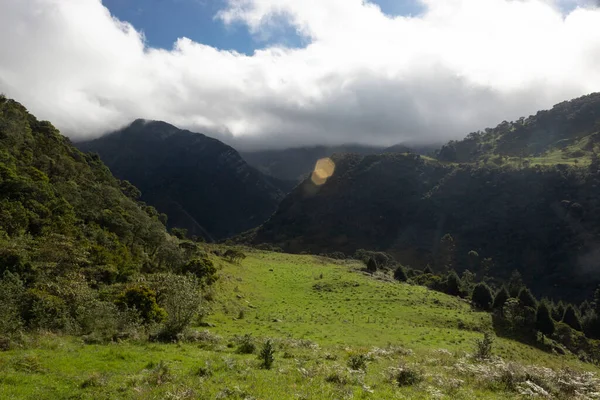 緑豊かな田園風景と晴れた日の朝に巨大な谷コロンビアアンデスの森の風景 — ストック写真