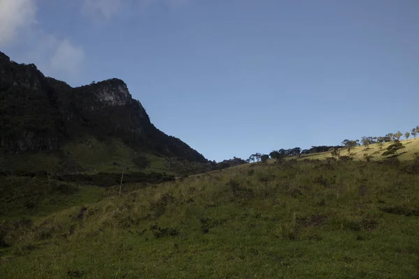 Campo Andino Colombiano Com Cordilheira Floresta Andina Hora Azul Manhã — Fotografia de Stock