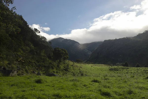Vale Florestal Andino Colombiano Com Pastagens Verdes Cordilheira Fundo — Fotografia de Stock