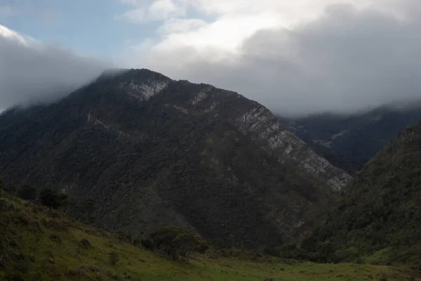 朝早く曇りの空の高いアンデスの森の峰々の白い石 — ストック写真