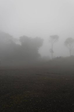 Andean yağmur ormanlarının üzerinde yoğun bir sis vardı. İnsanlar bisikletçiyi düşünüyordu.