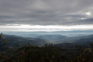 Magdalena Nehri Vadisi öğleden sonra Cundinamarca 'daki bir yağmur ormanından izlendi.
