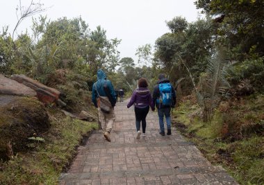 SOACHA, COLOMBIA - 17 Eylül 2021 Şikago doğal parkındaki yerel bitki örtüsünün ortasında üç turist tuğla bir patikadan aşağı iniyor
