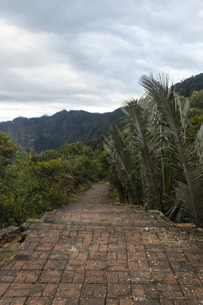 Antigua Escalera Ladrillo Medio Del Follaje Del Bosque Andes Con —  Fotos de Stock