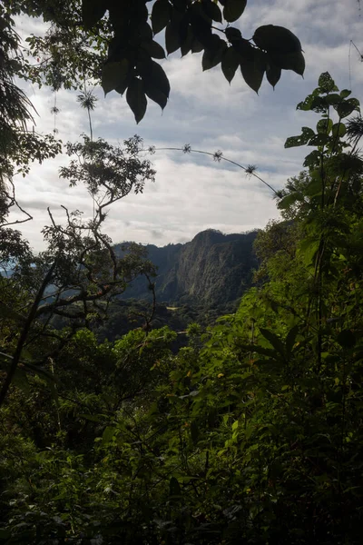 Increíble Marco Natural Una Gran Montaña Antigua Con Luz Dorada —  Fotos de Stock