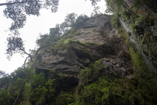 Belas Pedras Velhas Com Uma Cachoeira Meio Floresta Andina — Fotografia de Stock