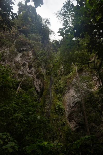 Una Pequeña Cascada Medio Selva Lluvia Colombiana —  Fotos de Stock