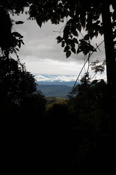 Beautiful Cloudy Landscape Blue Mountains Framed Middle Foliage Silhouette — Stock Photo, Image