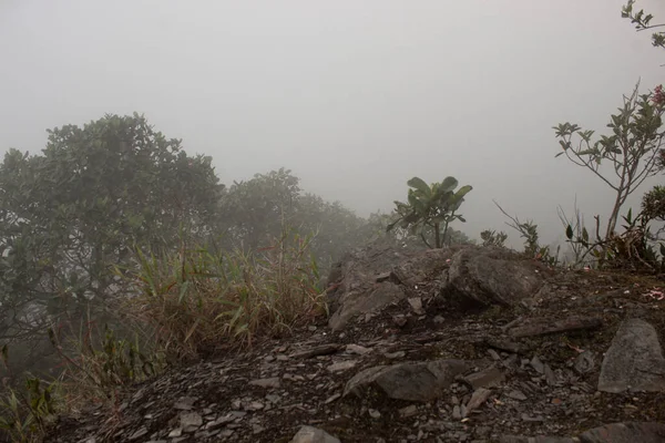Nevoeiro Denso Visto Chão Apedrejado Sobre Mirante Montanha Floresta Tropical — Fotografia de Stock