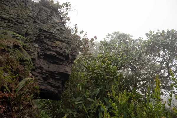 Старий Великий Камінь Відомий Pico Del Guila Або Вершина Орла — стокове фото