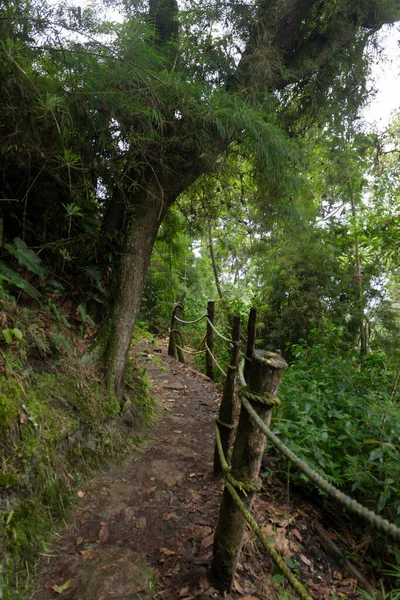 Soacha Colombie Septembre 2021 Ancien Sentier Culture Muisque Milieu Forêt — Photo