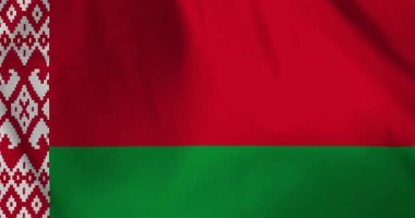 Beyaz Rusya bayrağı rüzgarın arka plan döngüsü video animasyonu ile dalgalanıyor