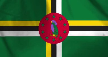 Dominica bayrağı rüzgarın arka plan döngüsü video animasyonu ile dalgalanıyor