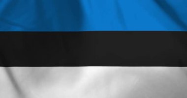 Rüzgâr arka planda dalgalanan Estonya bayrağı video animasyonu