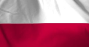 Rüzgâr arka plan döngüsü video animasyonu ile dalgalanan Polonya bayrağı