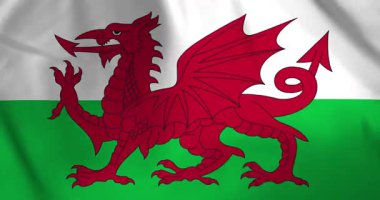 Galler bayrağı rüzgarın arka plan döngüsü video animasyonu ile dalgalanıyor