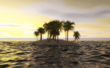 Palms küçük okyanus Adası